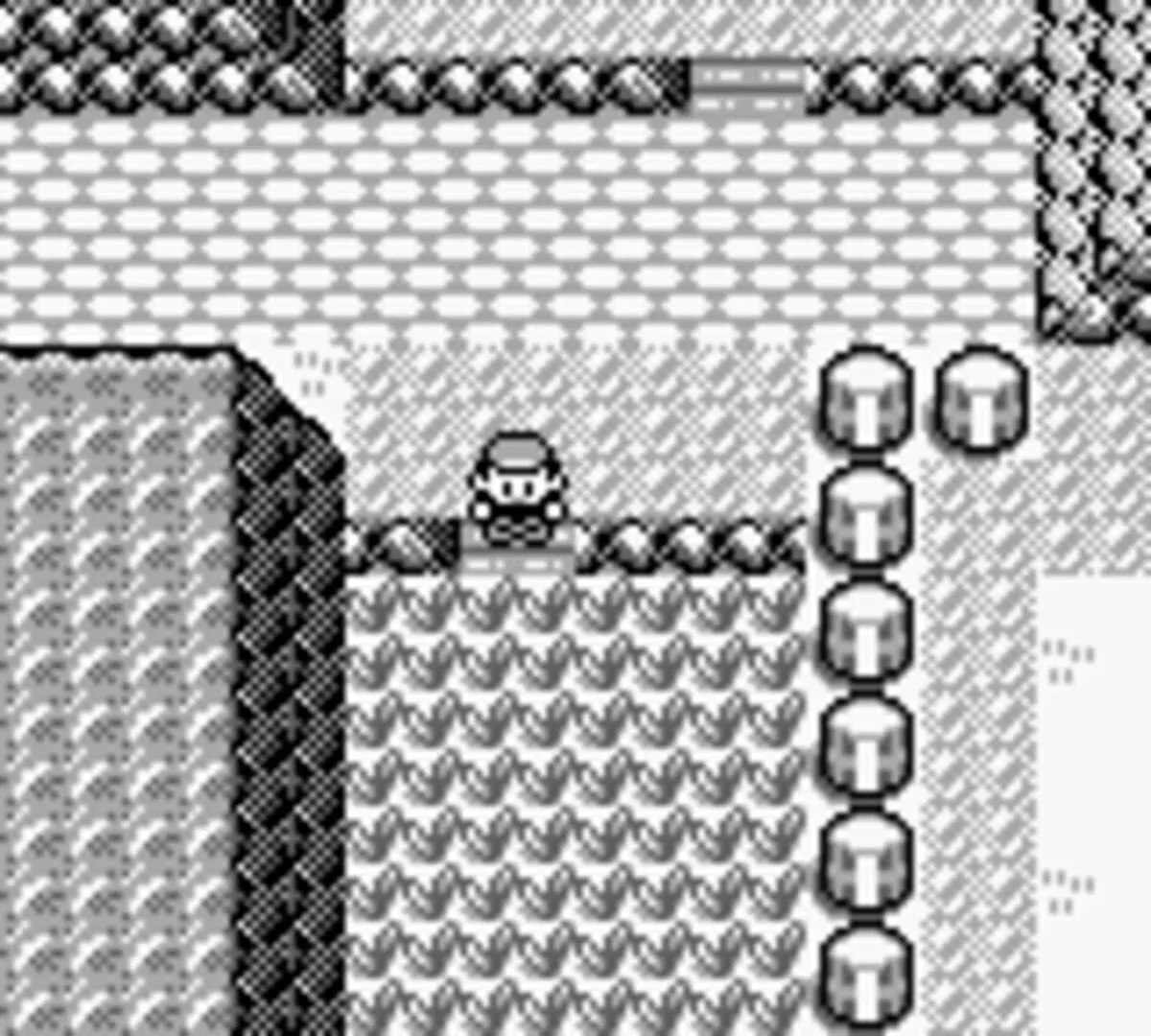 Pokémon Blue Version Gallery 3