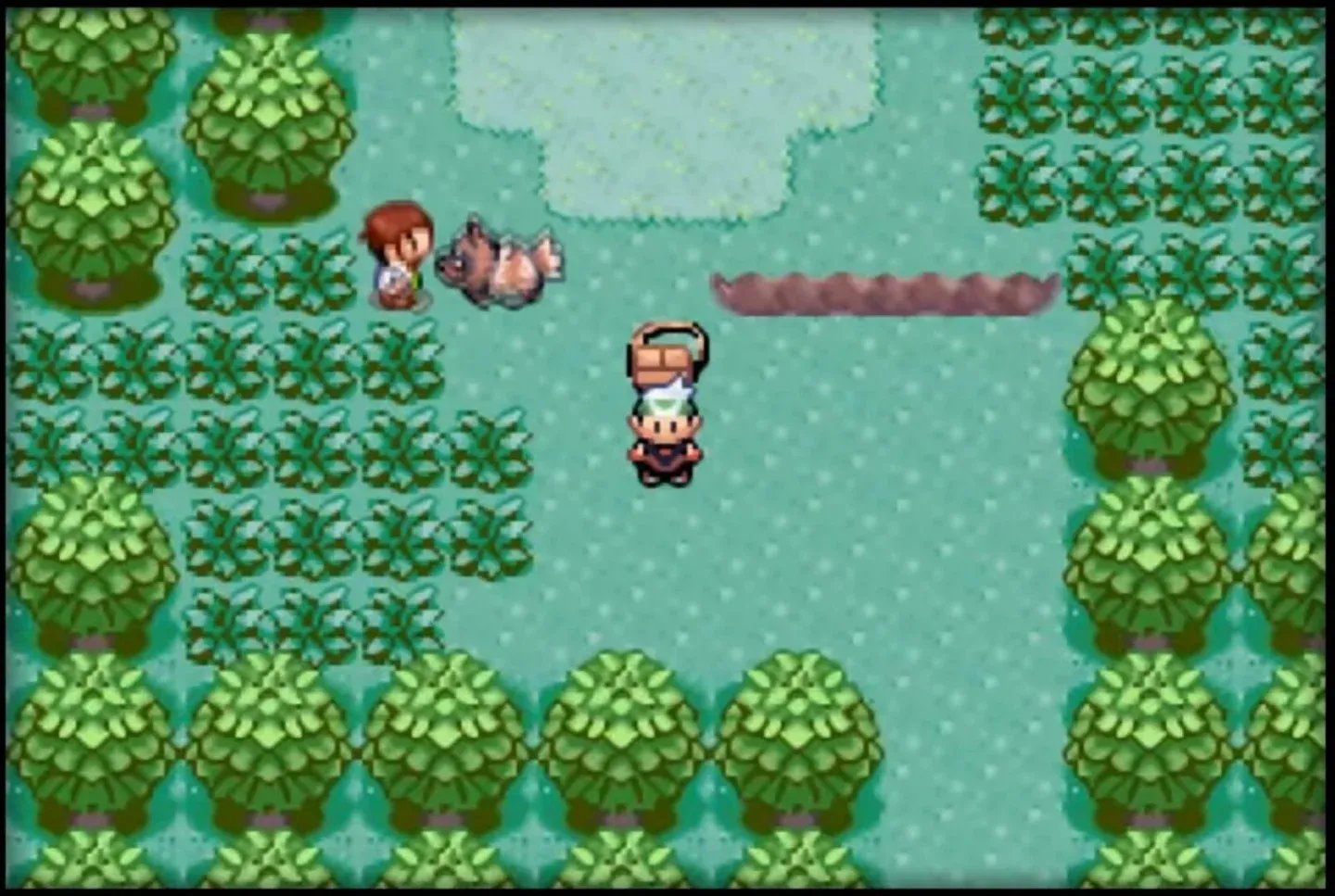Pokémon Emerald Version Gallery 2
