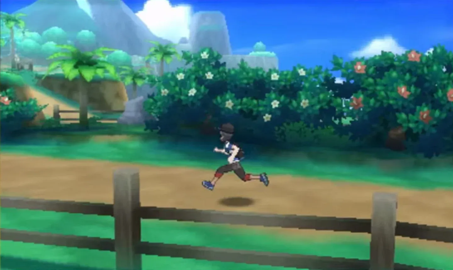 Pokémon Moon content image
