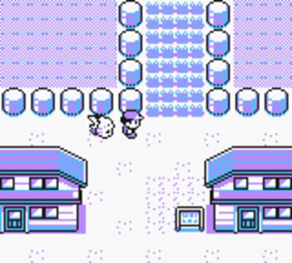 Pokémon Yellow Version: Special Pikachu Edition Gallery 2