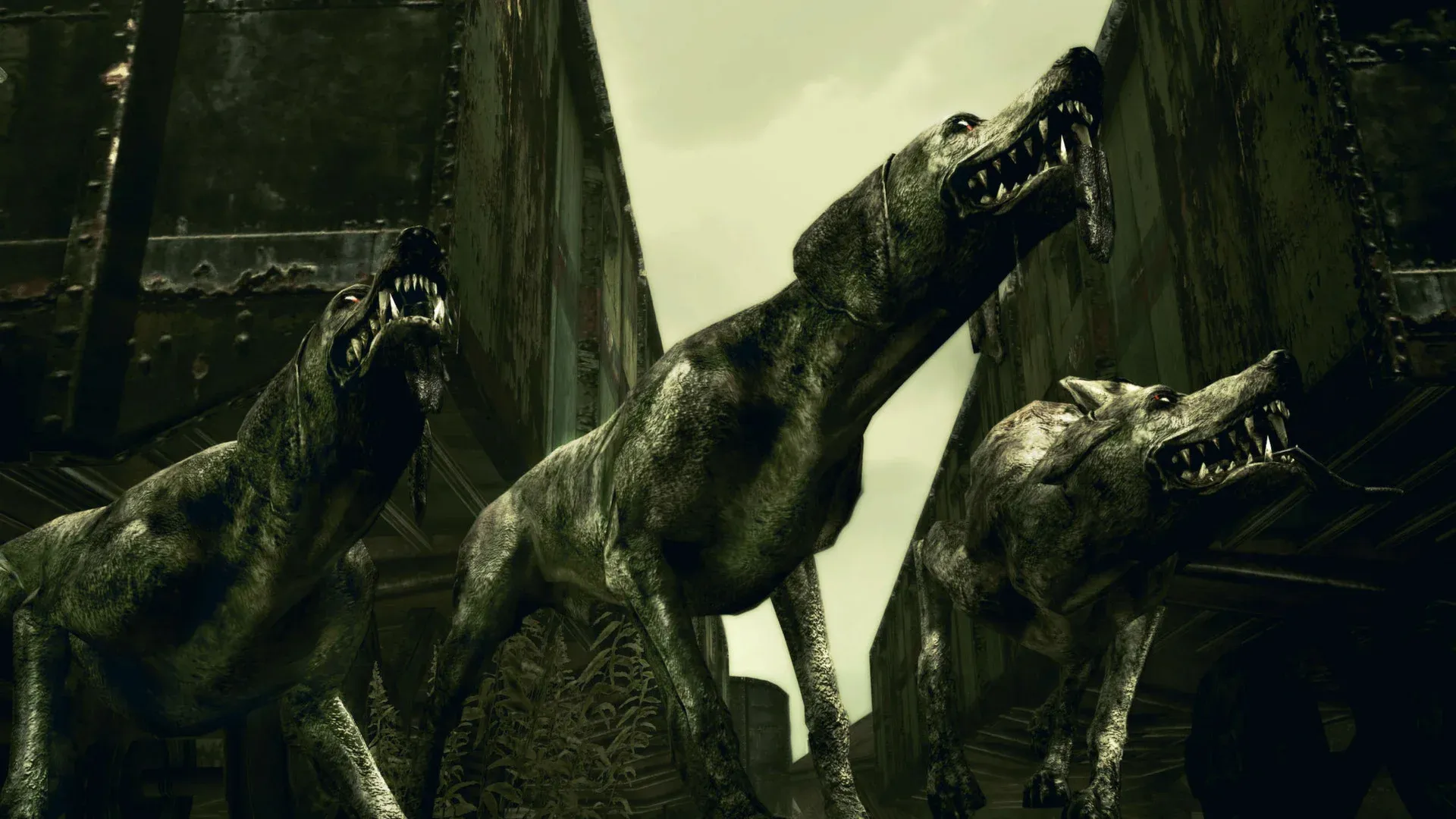 Resident Evil 5 Screenshot 40