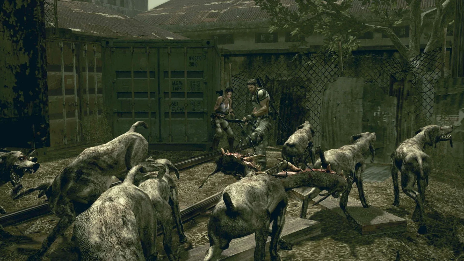 Resident Evil 5 Screenshot 43