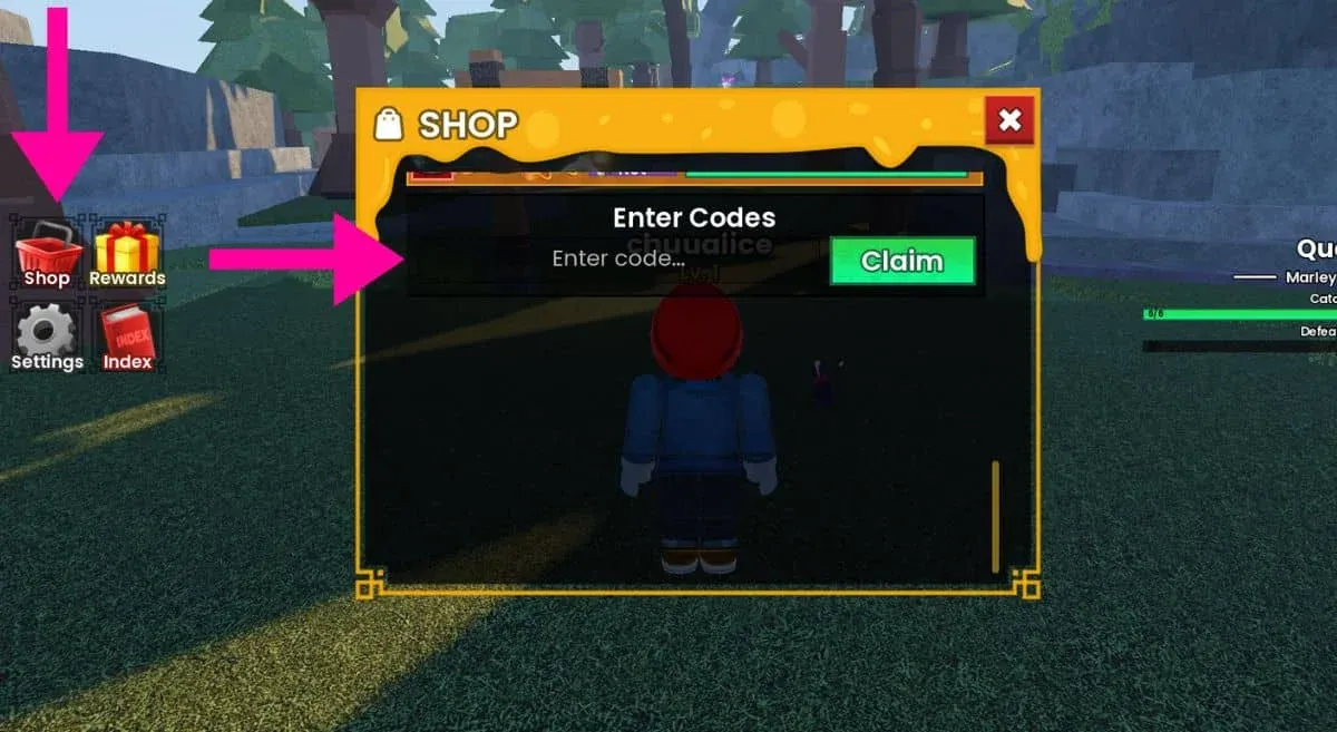 Redeem codes in the Shop