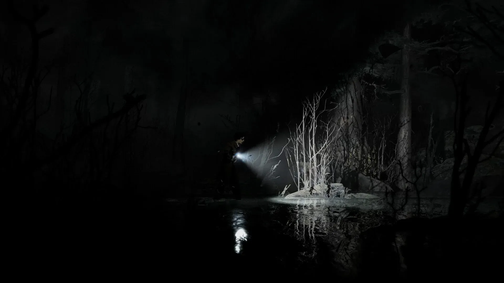 Silver Pines Screenshot 4