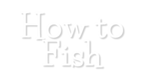 How to Fish