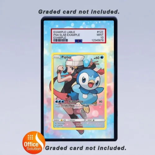 pokemon card graded slabs Modern Acrylic Trading Slab for / Magic (63x88mm) PokePlug - Mystery Slab Bag