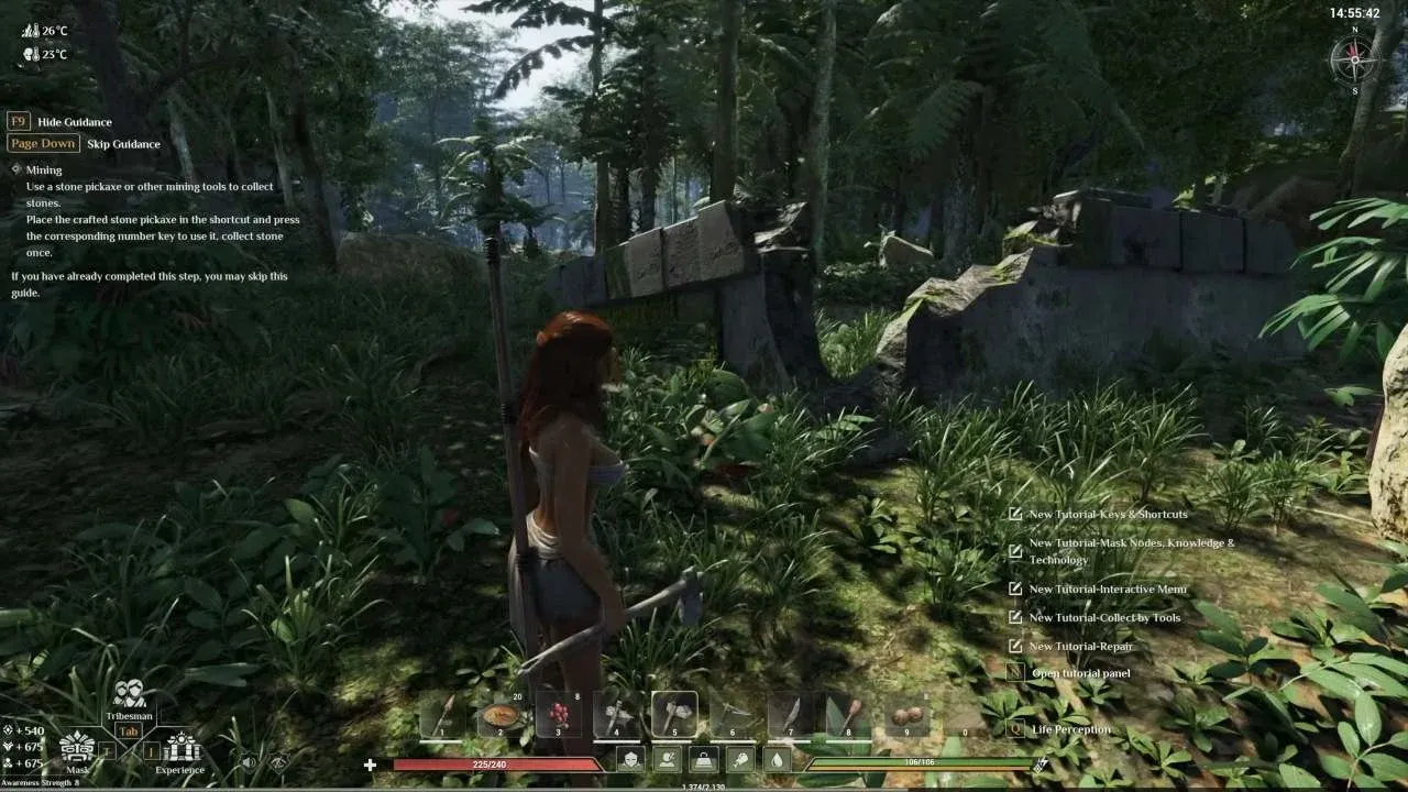 Mask upgrade tree overview
