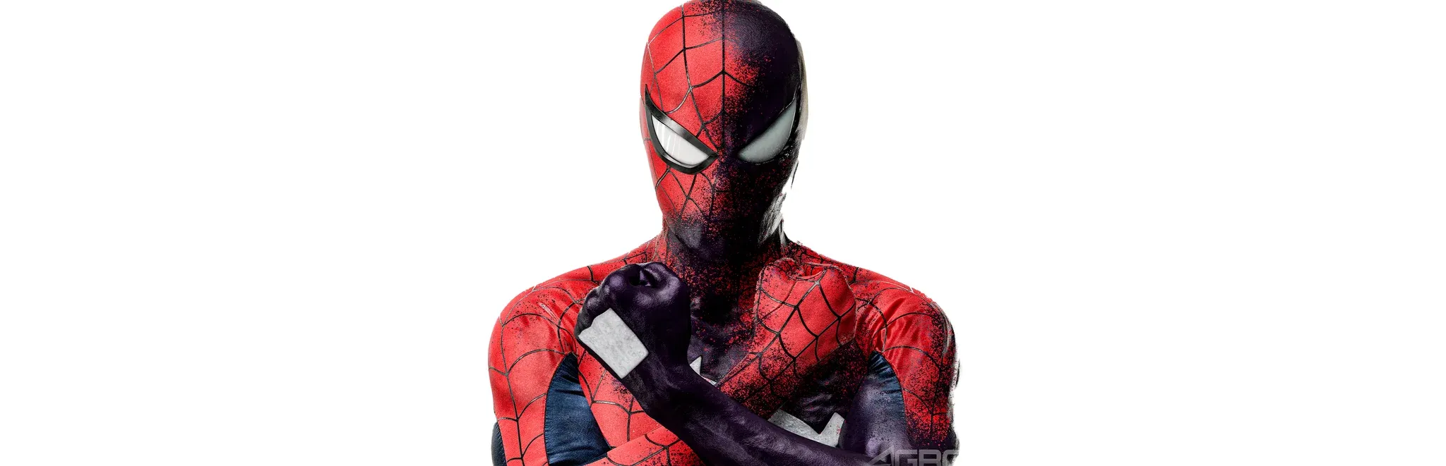 Spider-Man: Web of Shadows Banner