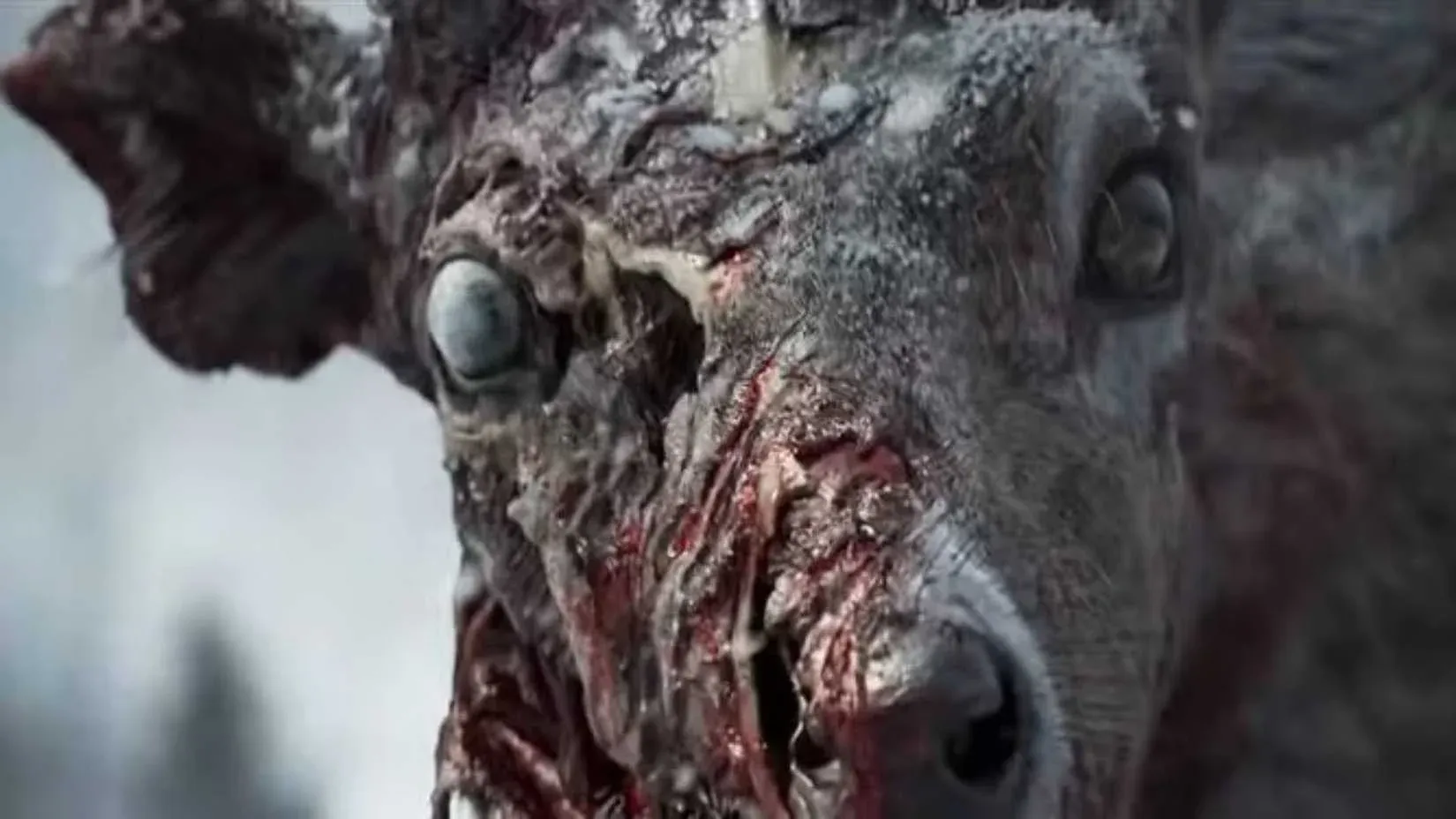State of Decay 3 Has No Zombie Deer, Studio Head Confirms