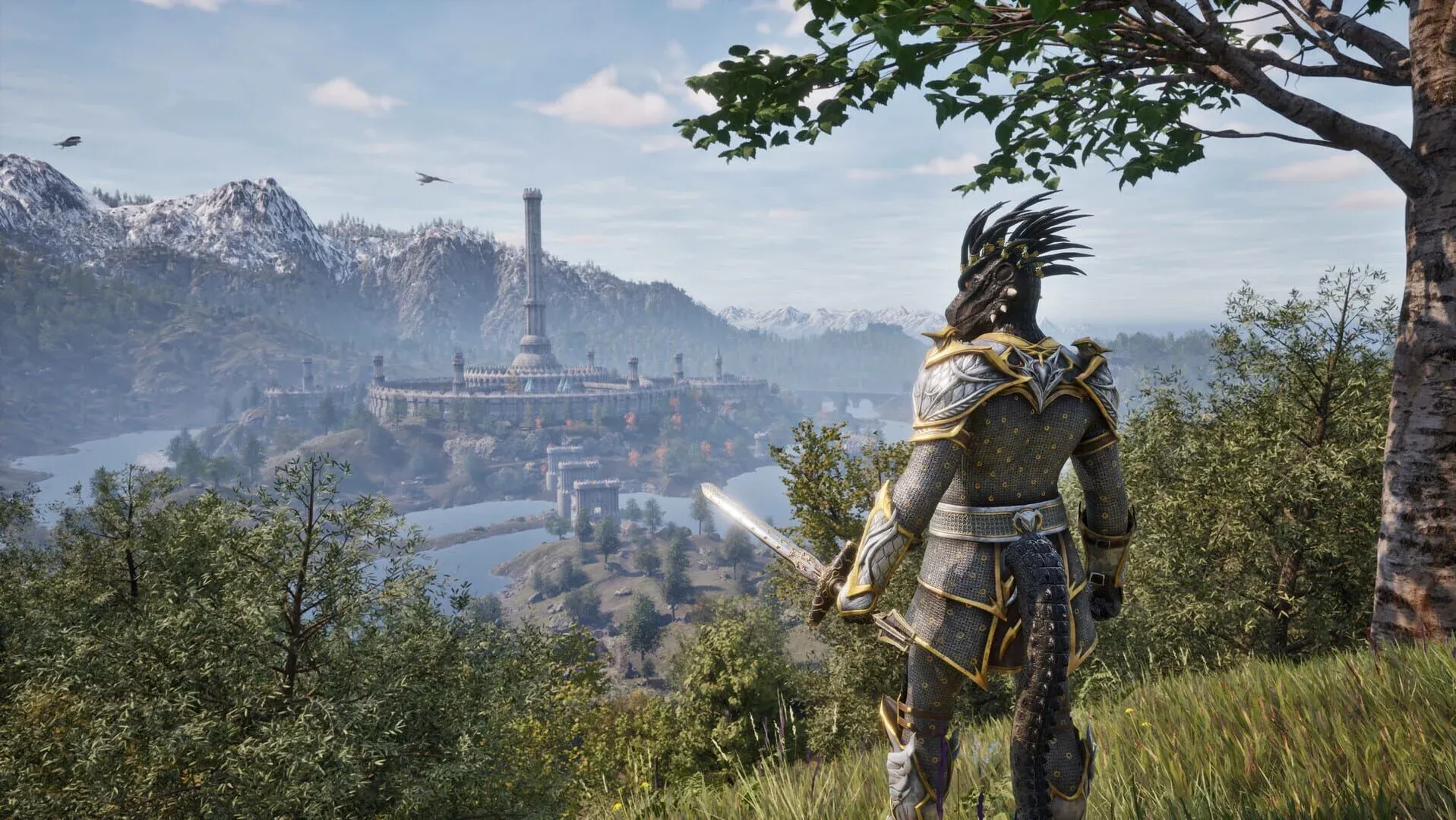 The Elder Scrolls IV: Oblivion Remastered Banner