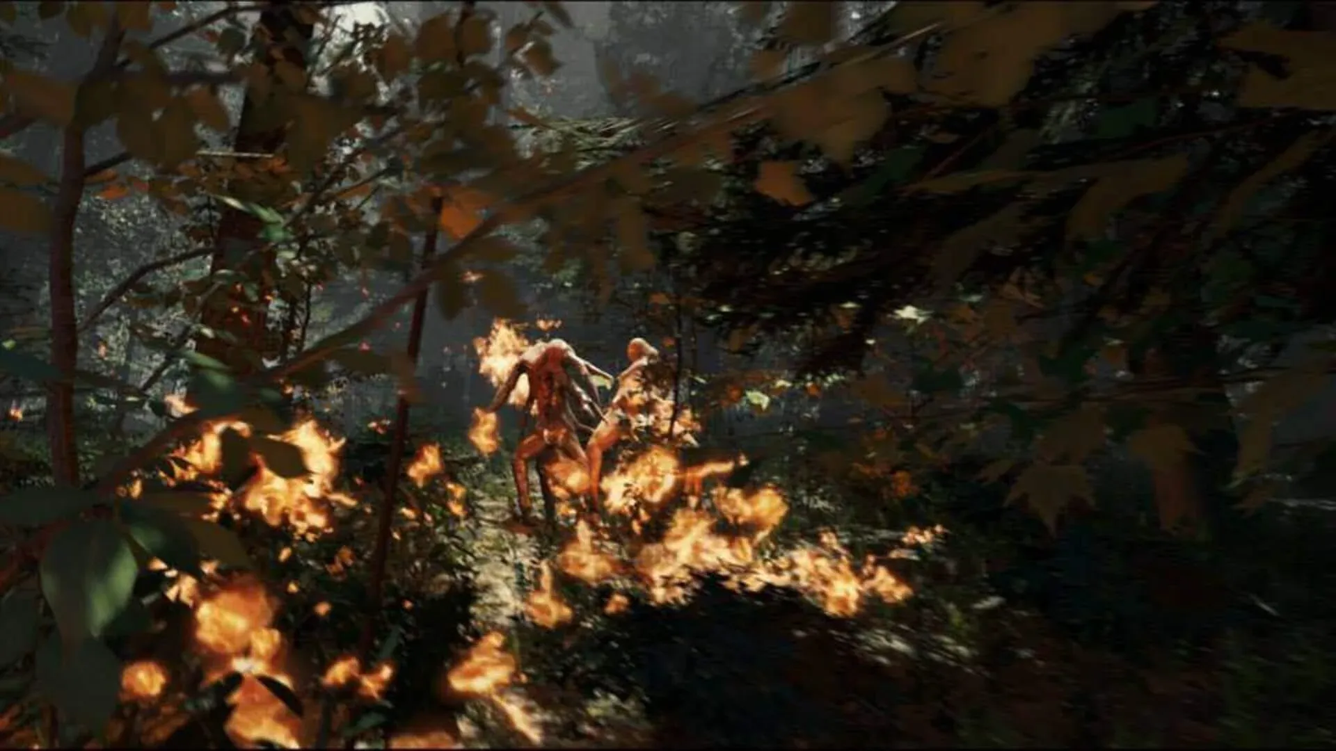 The Forest Banner