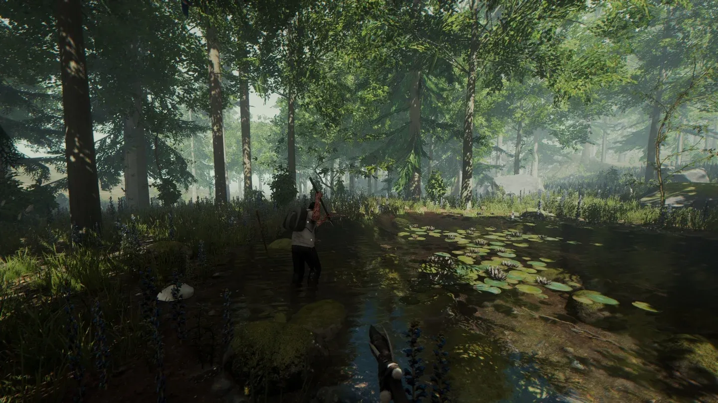 The Forest Gallery 6