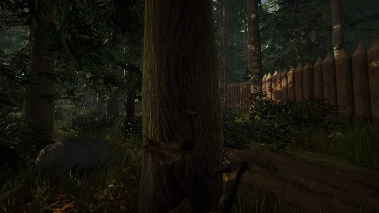 The Forest Gallery 7