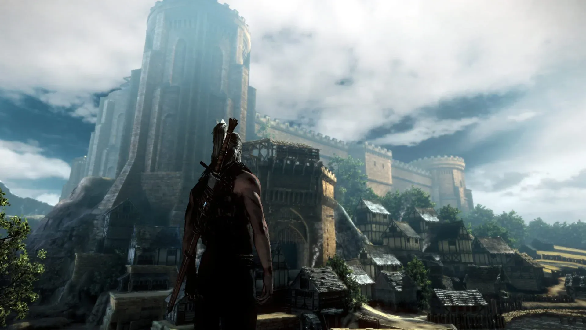 The Witcher 2: Assassins of Kings Banner