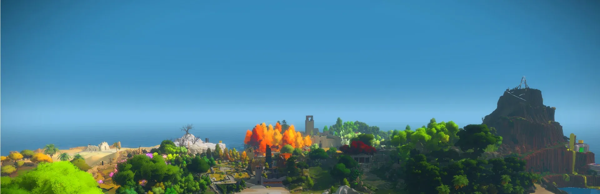 The Witness Banner
