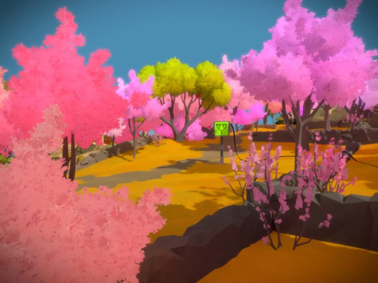 The Witness Gallery 10