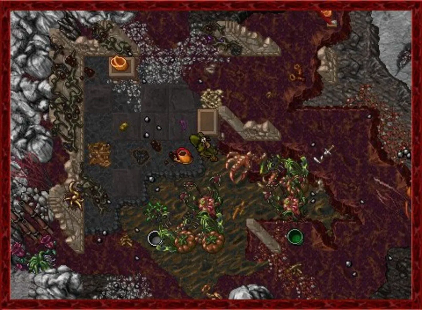 Tibia Gallery 1