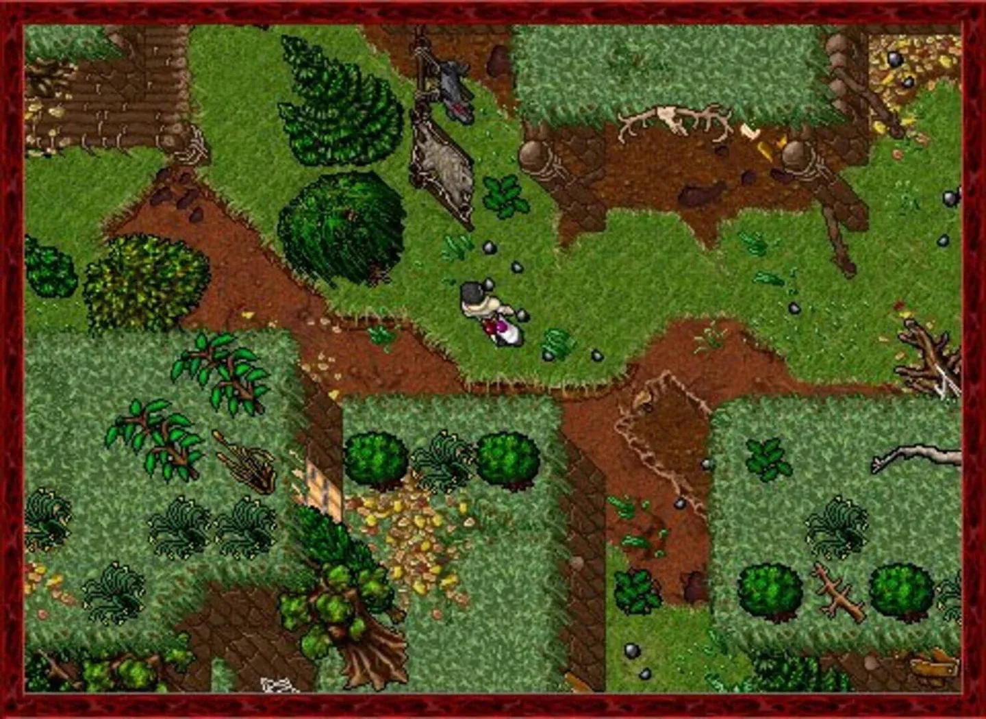 Tibia Gallery 3