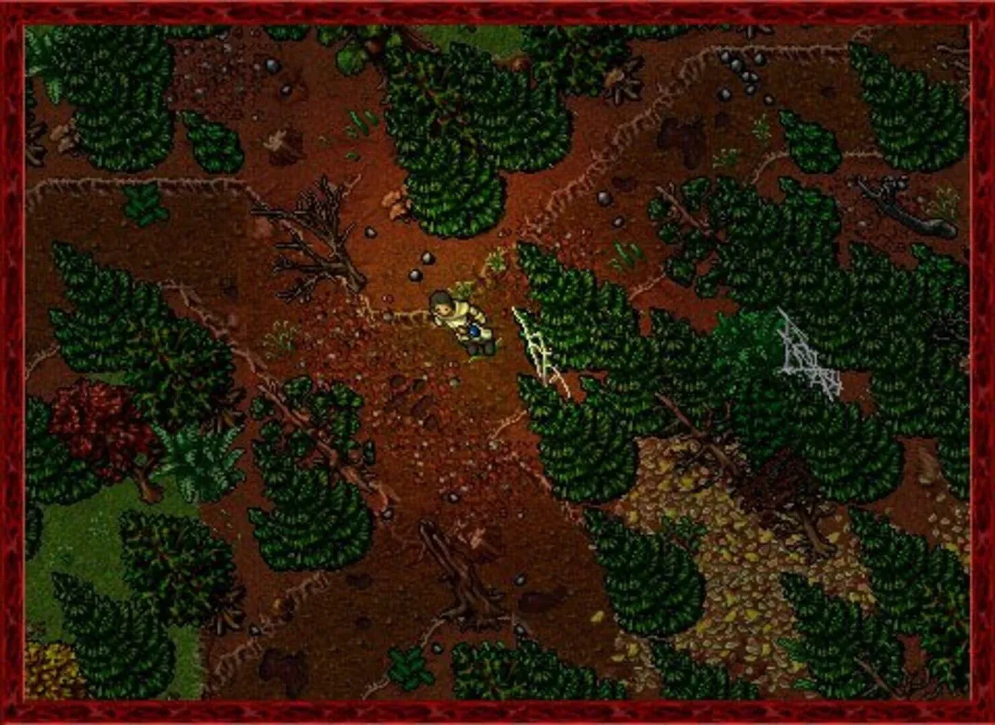 Tibia Gallery 4