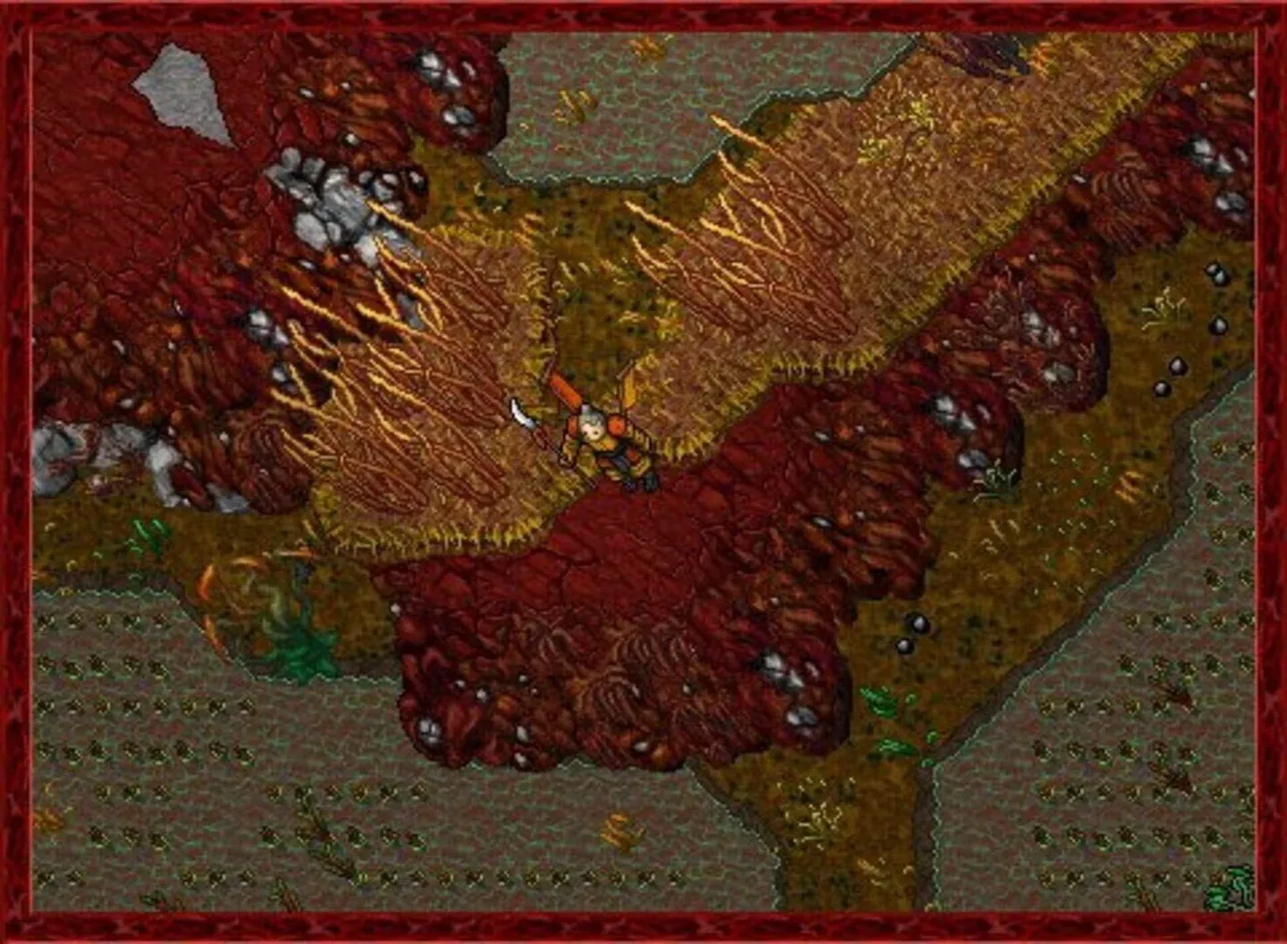Tibia Gallery 6