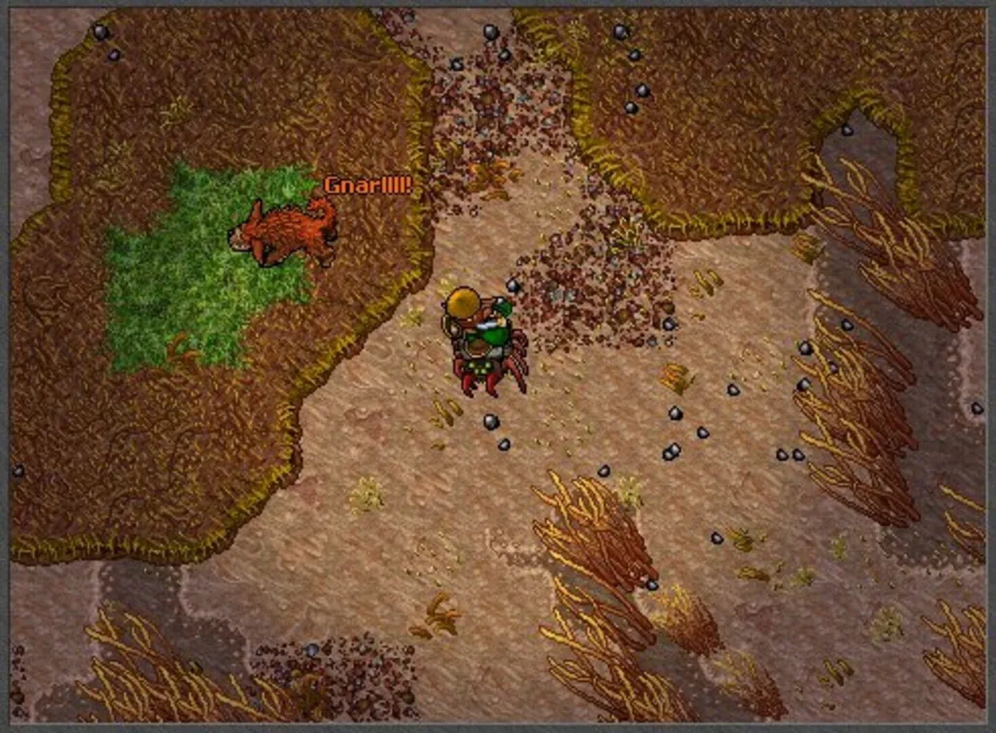 Tibia Gallery 8