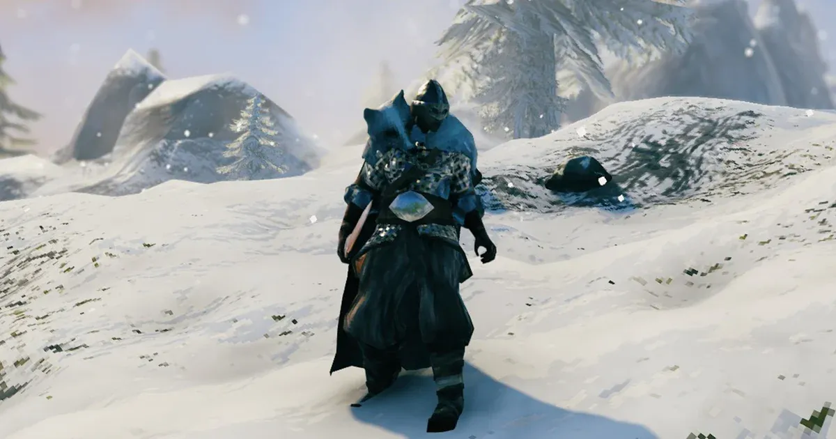 Valheim Armor Tier List: Best Sets for Every Biome