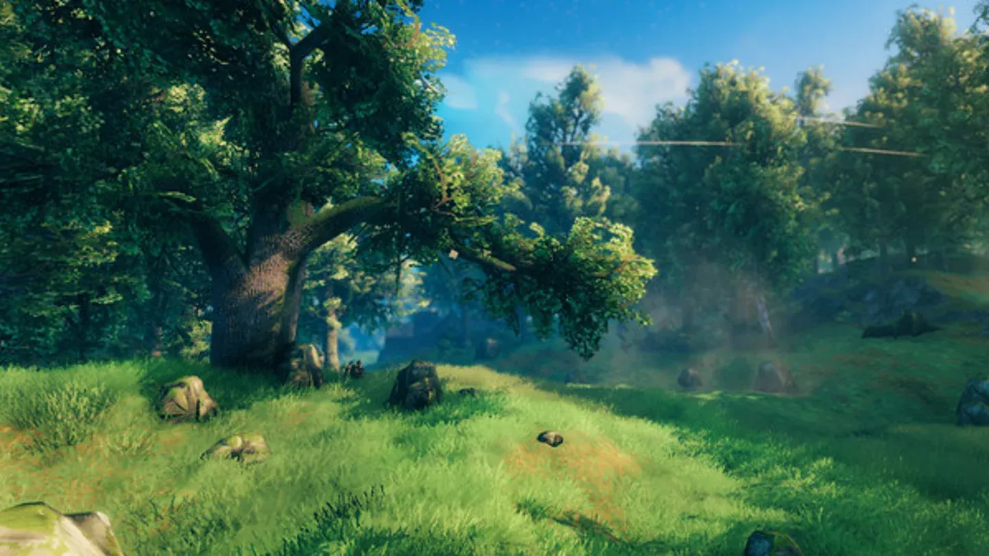 Meadows biomes starting area