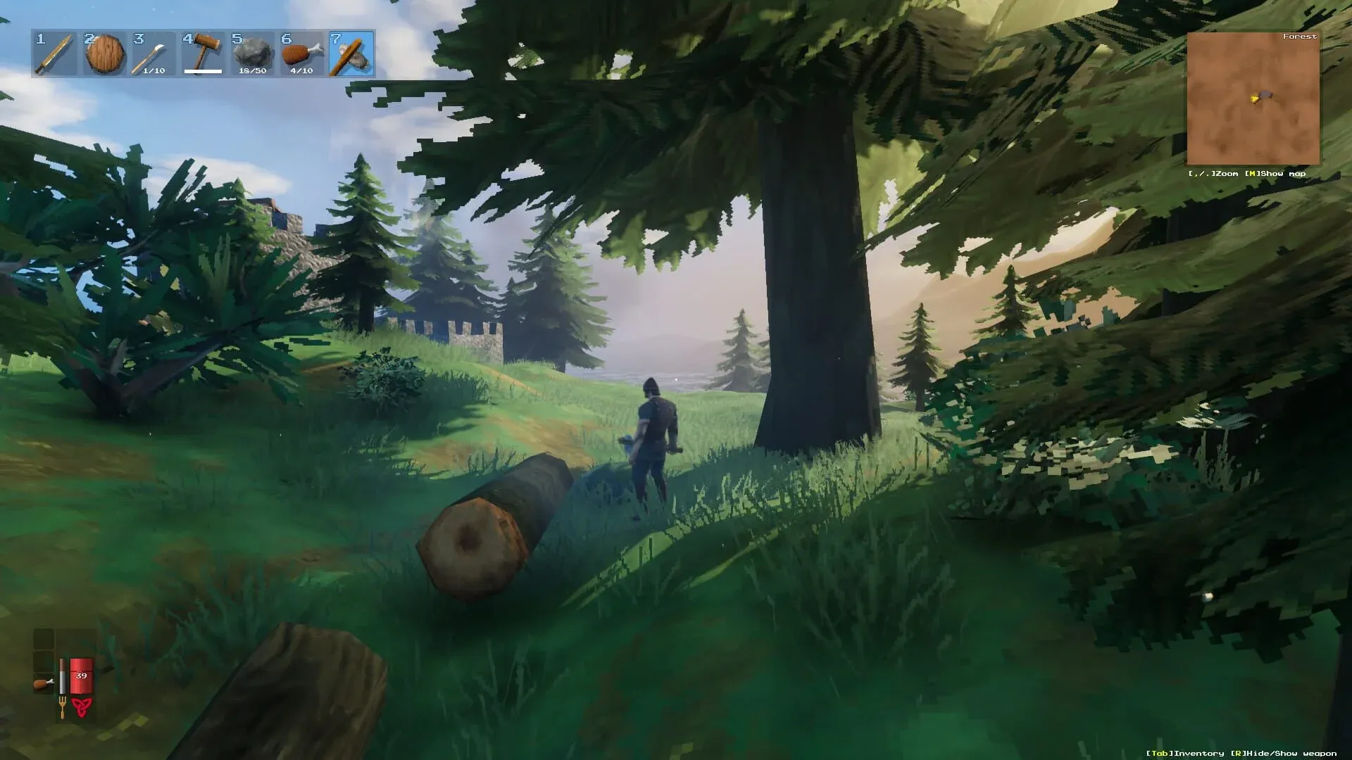 Valheim Screenshot 23