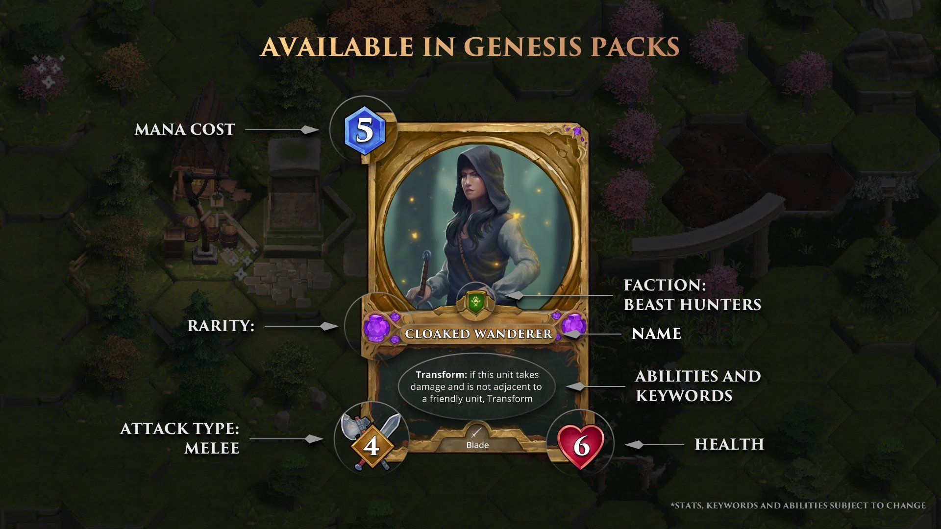 warriors of aradena card design.jpg