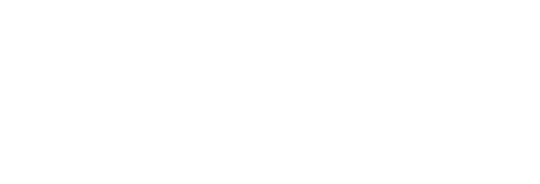 Will: Follow the Light Logo